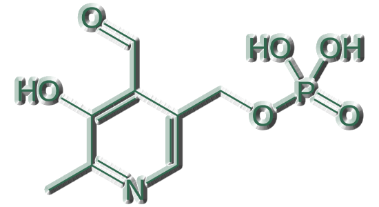 Vitamin B6 Molecule