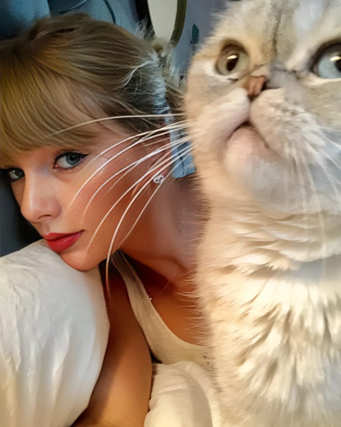 Taylor Swift lying down next to a fluffy white cat with striking, expressive eyes. The cat appears close to the camera, adding a playful and curious vibe to the photo.