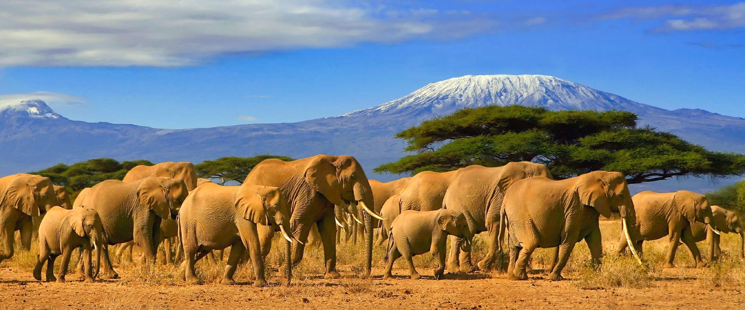 Mount Kilimanjaro Hiking Tours - K2 Adventure Travel