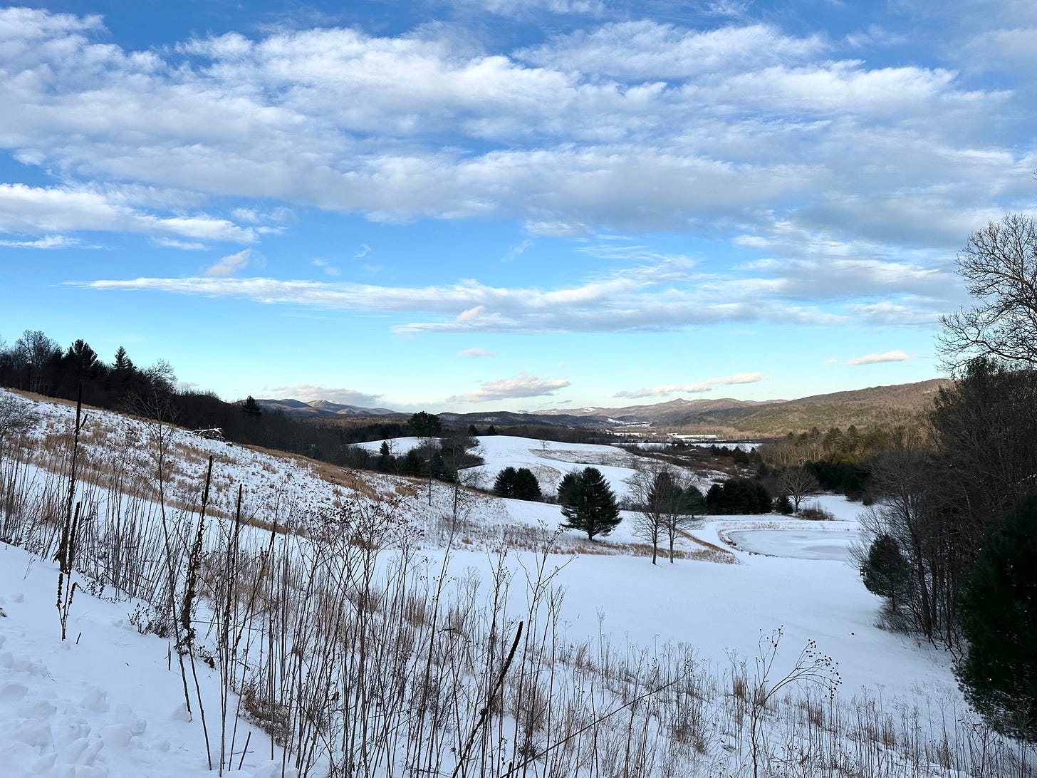 An image of a snowy landscape with rolling mountains, valleys and trees, with a bright blue sky with white clouds above