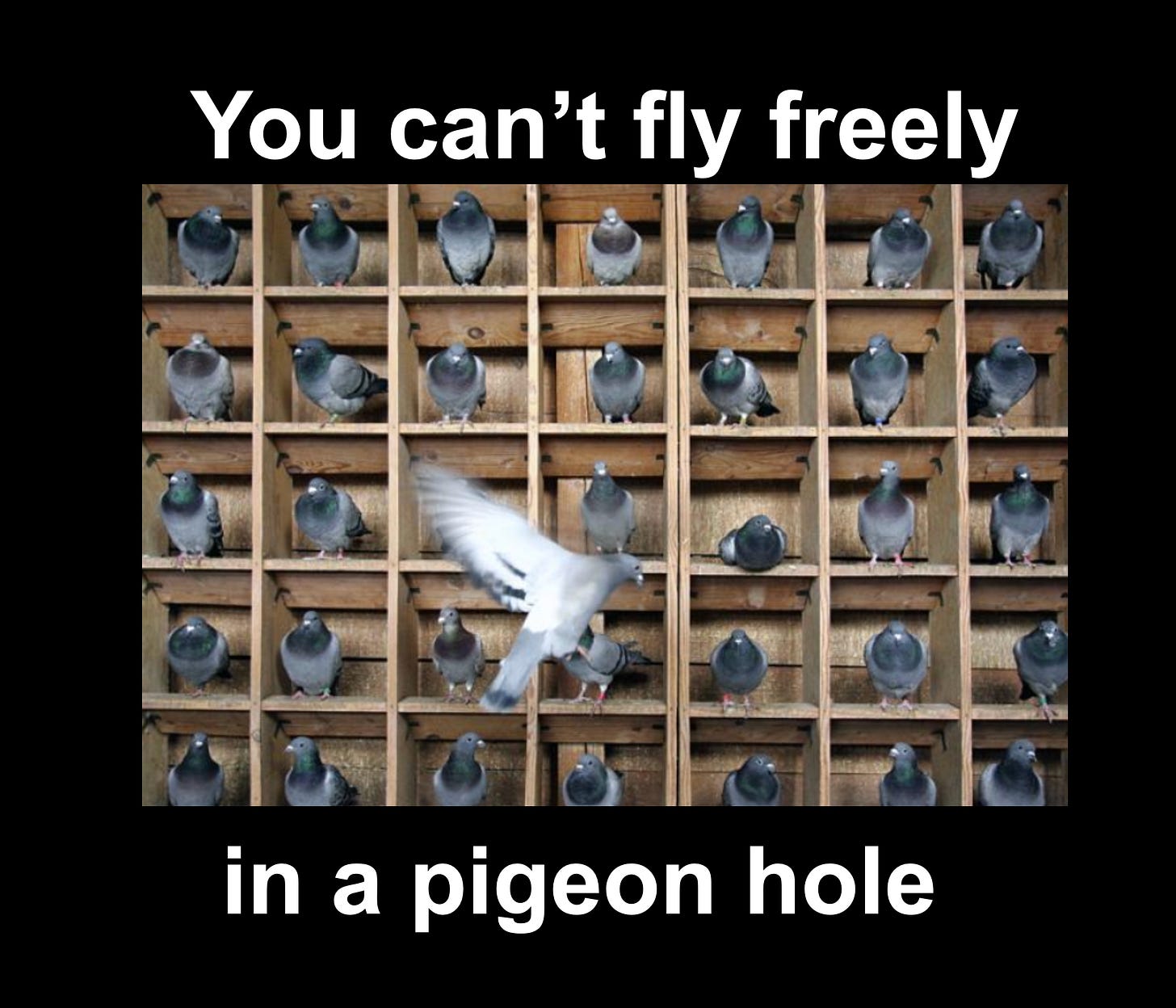 Image description: pigeons in their pigeonholes, with one flying in the foreground with white text on a black background, "You can't fly freely in a pigeon hole."