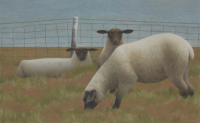 alex colville insomnia era