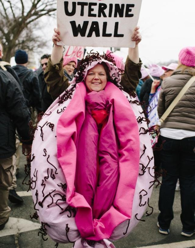 Lady Part Costumes Ruled the Women's March