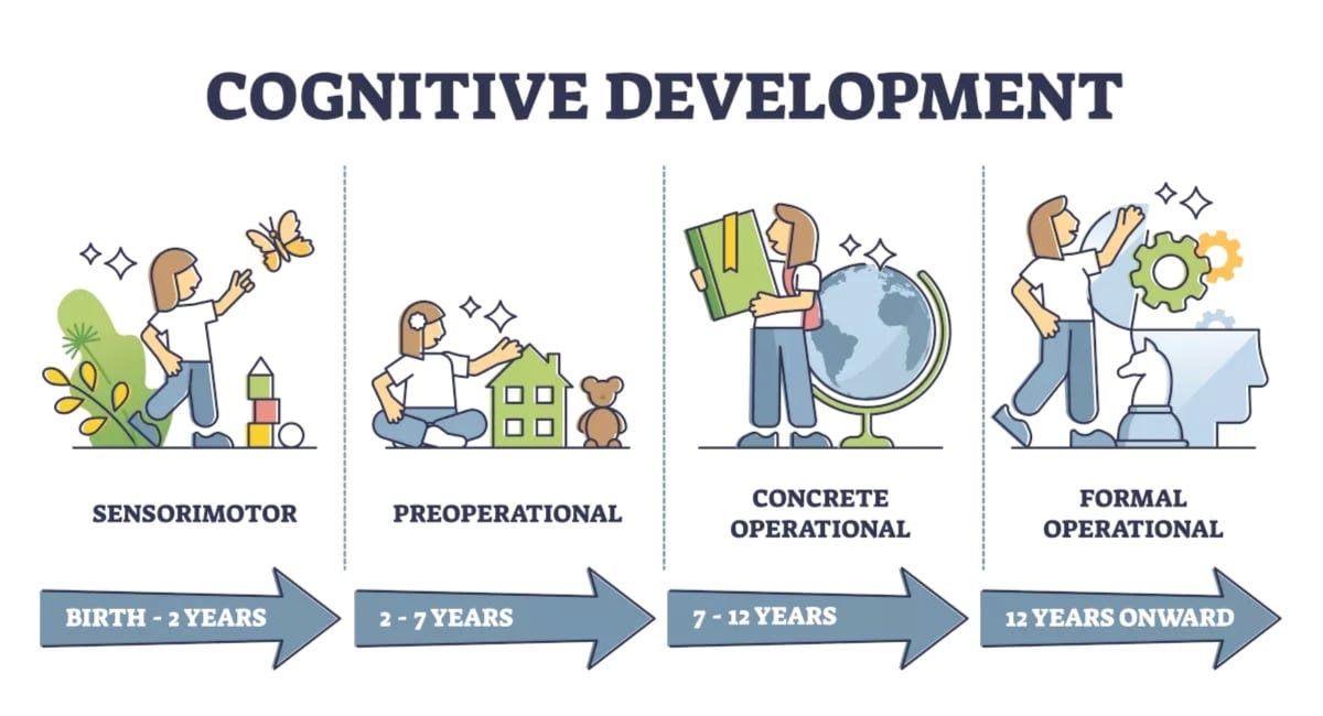 Jean Piaget's Theory of Cognitive Development: 4 Stages
