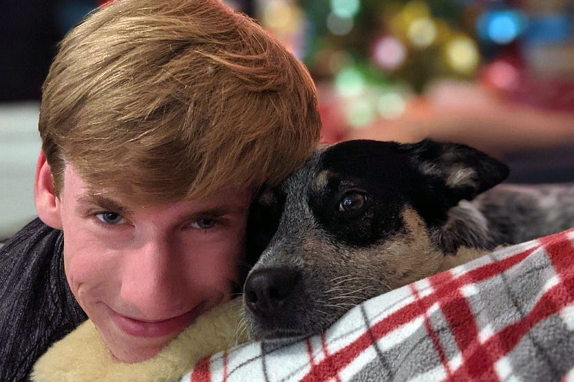 Scout the blue heeler curled up next to her favorite human