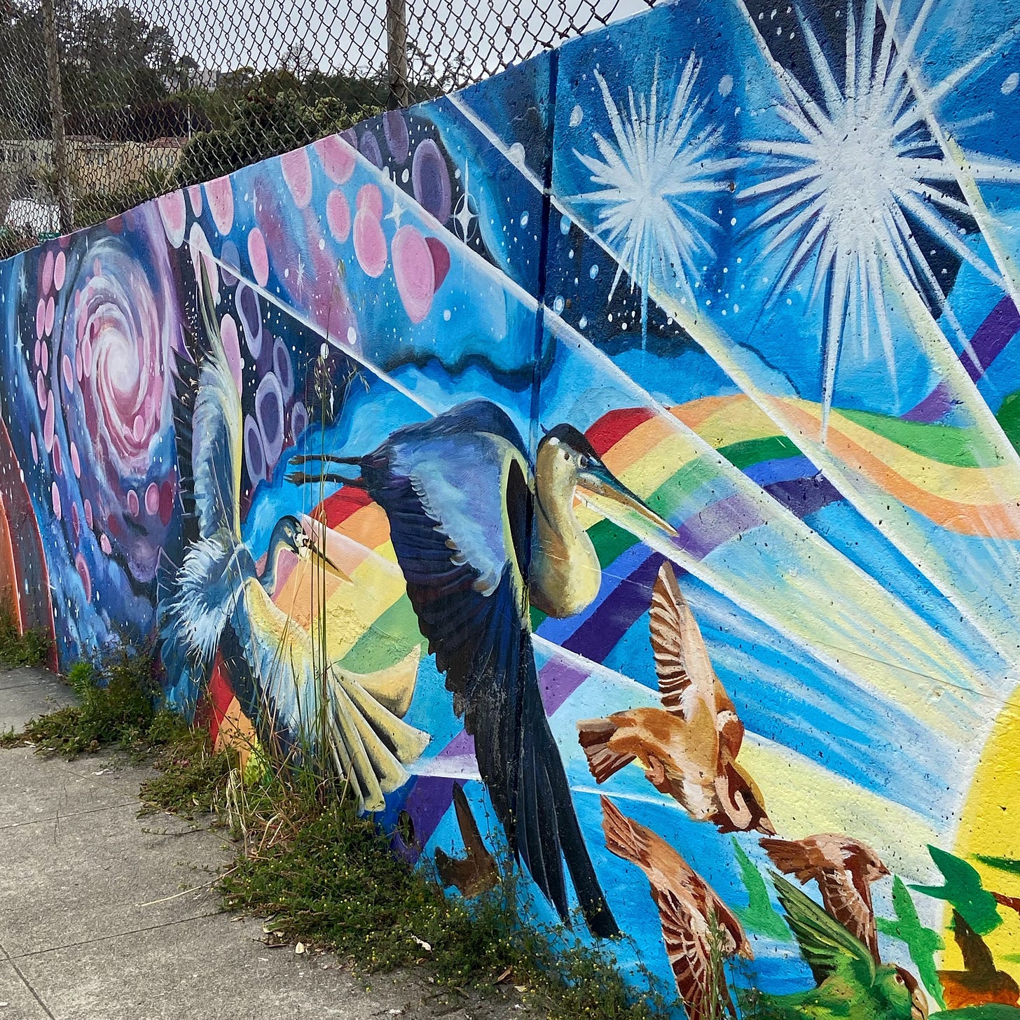 A mural on a wall. San Francisco, 2023. Amy Cowen