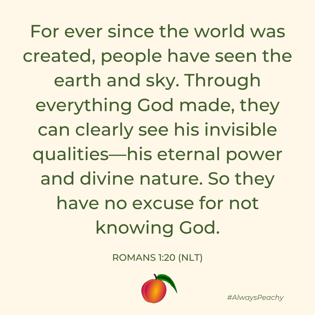 For ever since the world was created, people have seen the earth and sky. Through everything God made, they can clearly see his invisible qualities—his eternal power and divine nature. So they have no excuse for not knowing God.