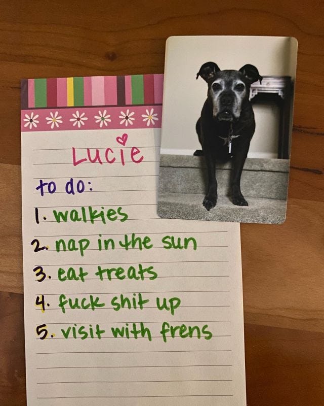 A list that reads to do: 1. walkies 2. nap inn the sun 3. eat treats 4. fuck shit up 5 visit with frens, and a photo of a black dog with a gray face
