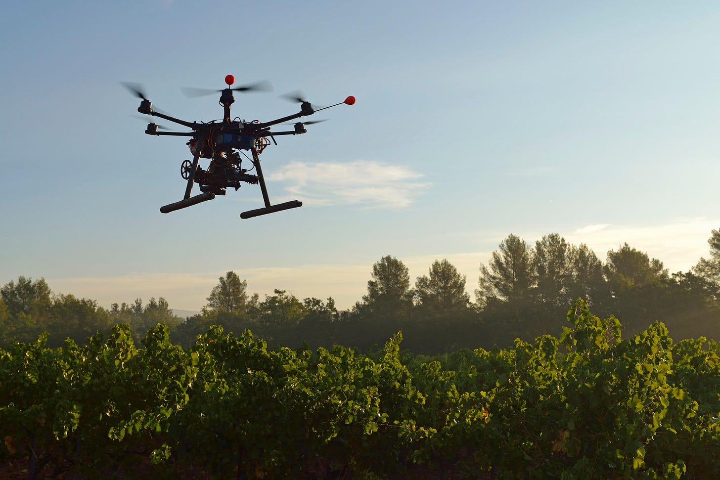 Drones to Plant 1 Billion Seeds in a Year (Hopefully) | Smart News|  Smithsonian Magazine