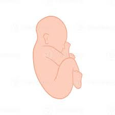 Innocent Newborn Baby 19782675 PNG