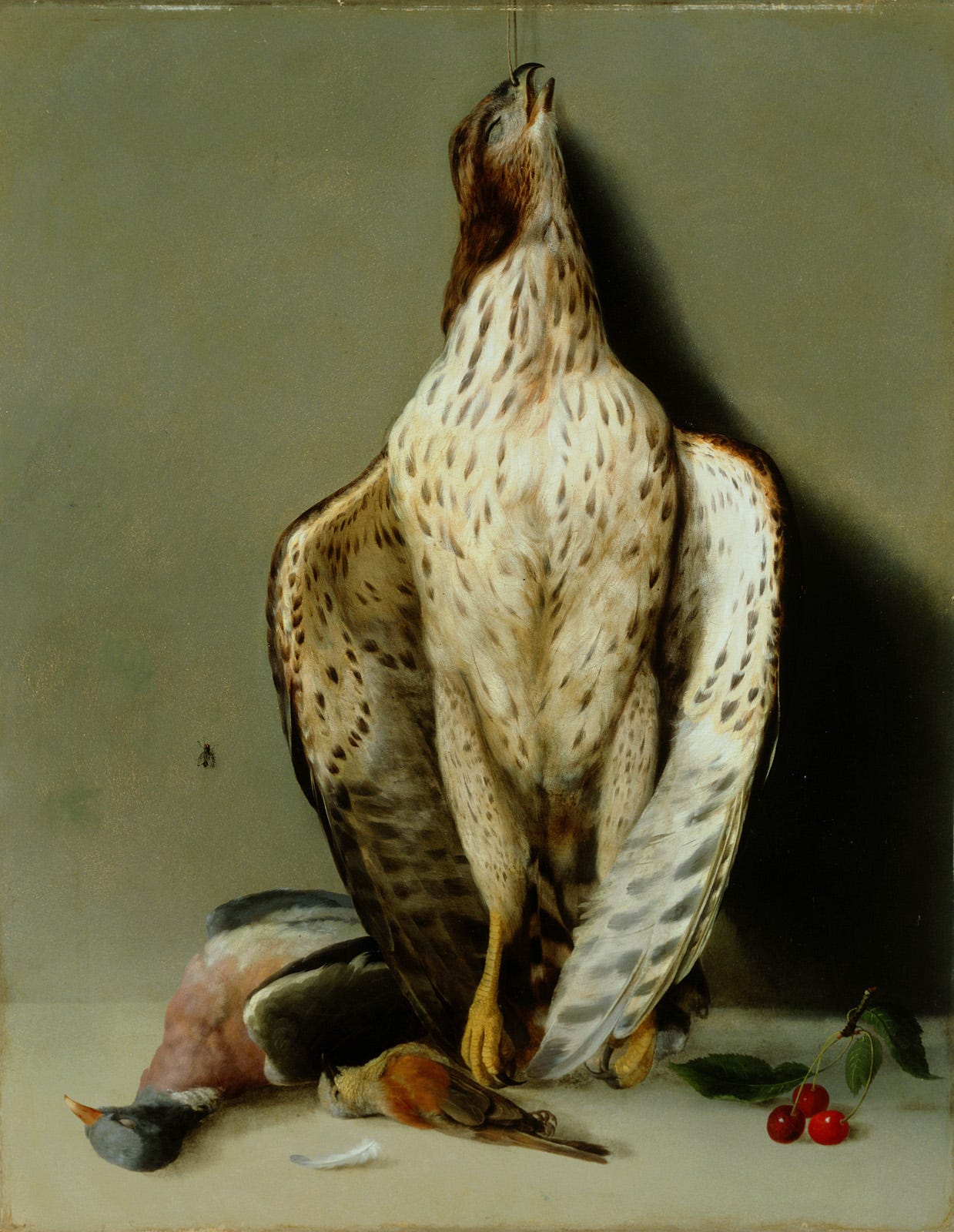 Still-life of a dead falcon hung up by its beak. Two other dead birds lie at its feet, along with some cherries.