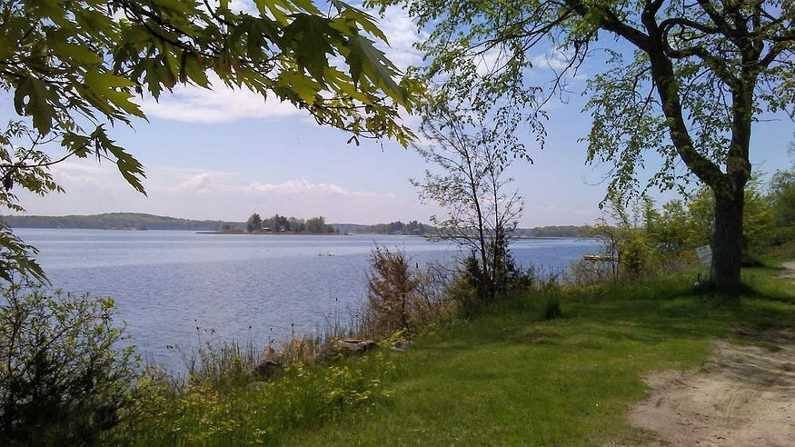 Trees and grass beside a river that is wide enough to be a lake — the St. Lawrence Seaway. Blue skies and warm sunshine.