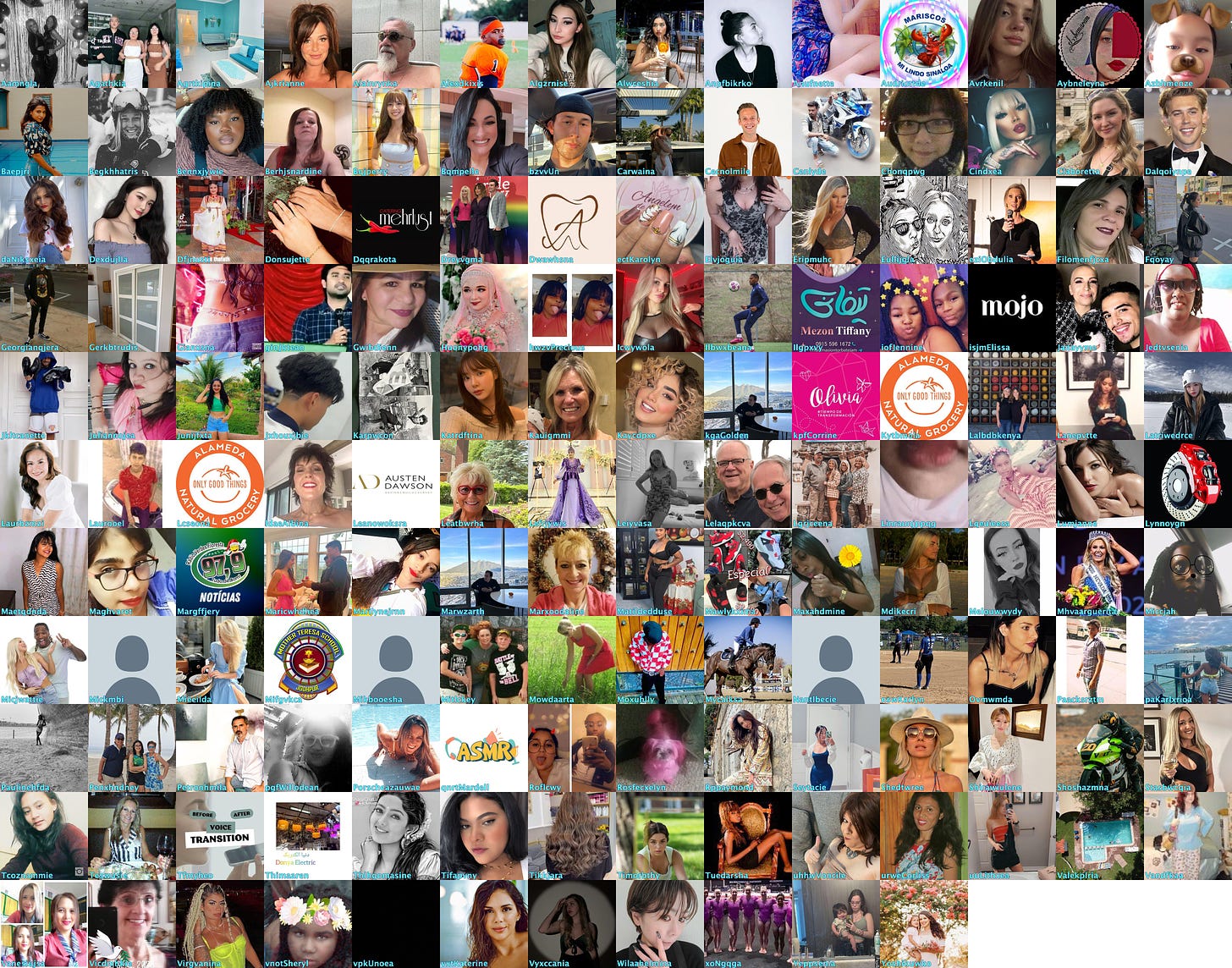 collage of the profile images of the 151 accounts