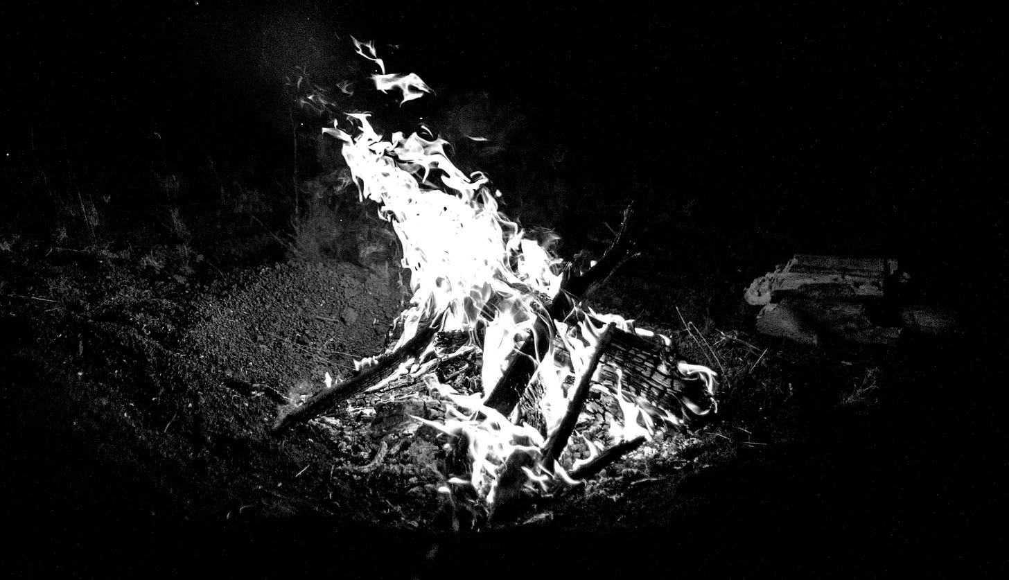 burning wood on brown soil