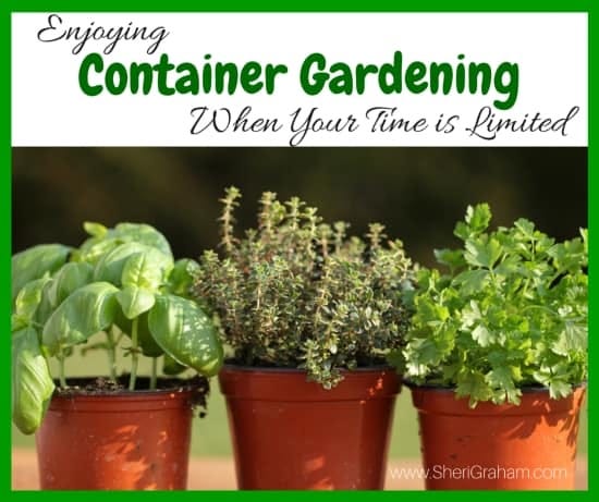 Enjoying Container Gardening