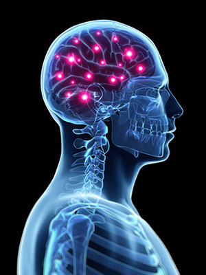 brain-chemicals brain-chemicals