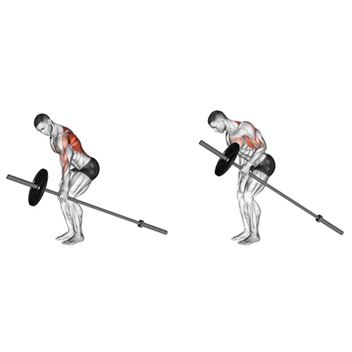 Featured Exercise: Landmine One-Arm Row - Purdy's Wharf Fitness Club