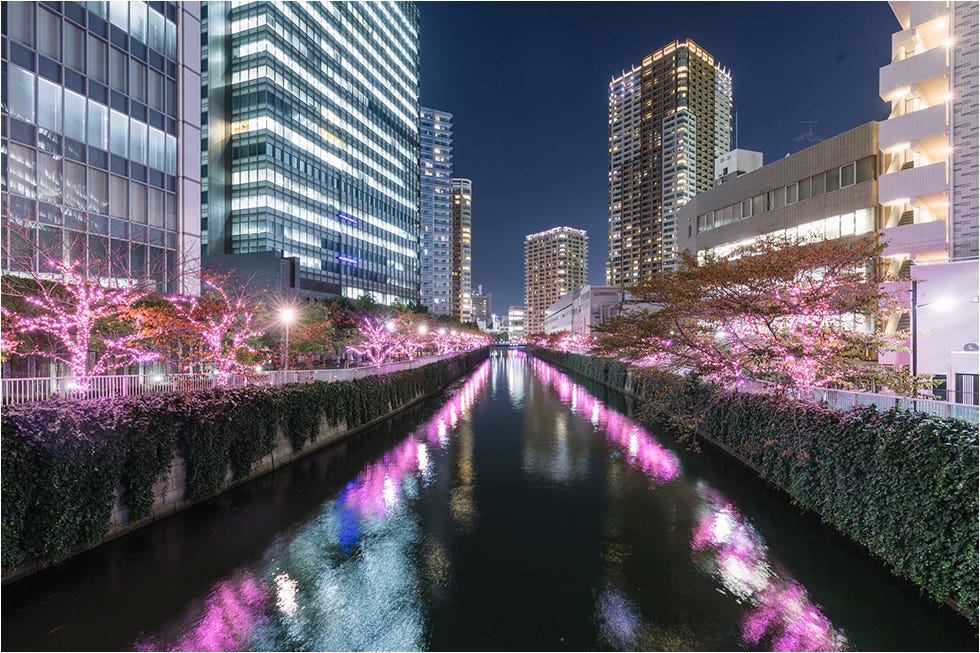 Meguro River Minna no Illumination