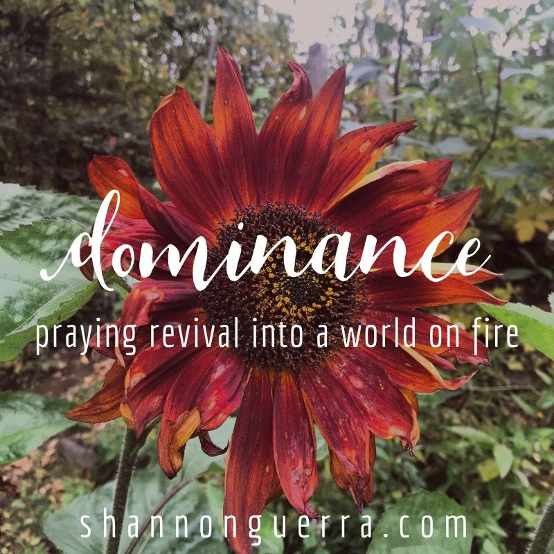 dominance: praying revival into a world on fire