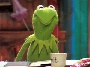 Kermit scrunch | Muppet Wiki | Fandom