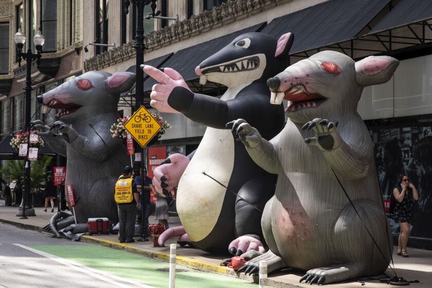 Scabby the Rat survives NLRB blowup over inflatables at union protests -  Chicago Sun-Times