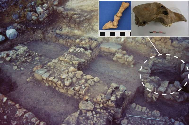 Bronze Age well contents reveal the history of animal resources in Mycenae, Greece
