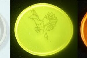 A new type of glass that’s etched with a bird design appears differently when exposed to different lasers.