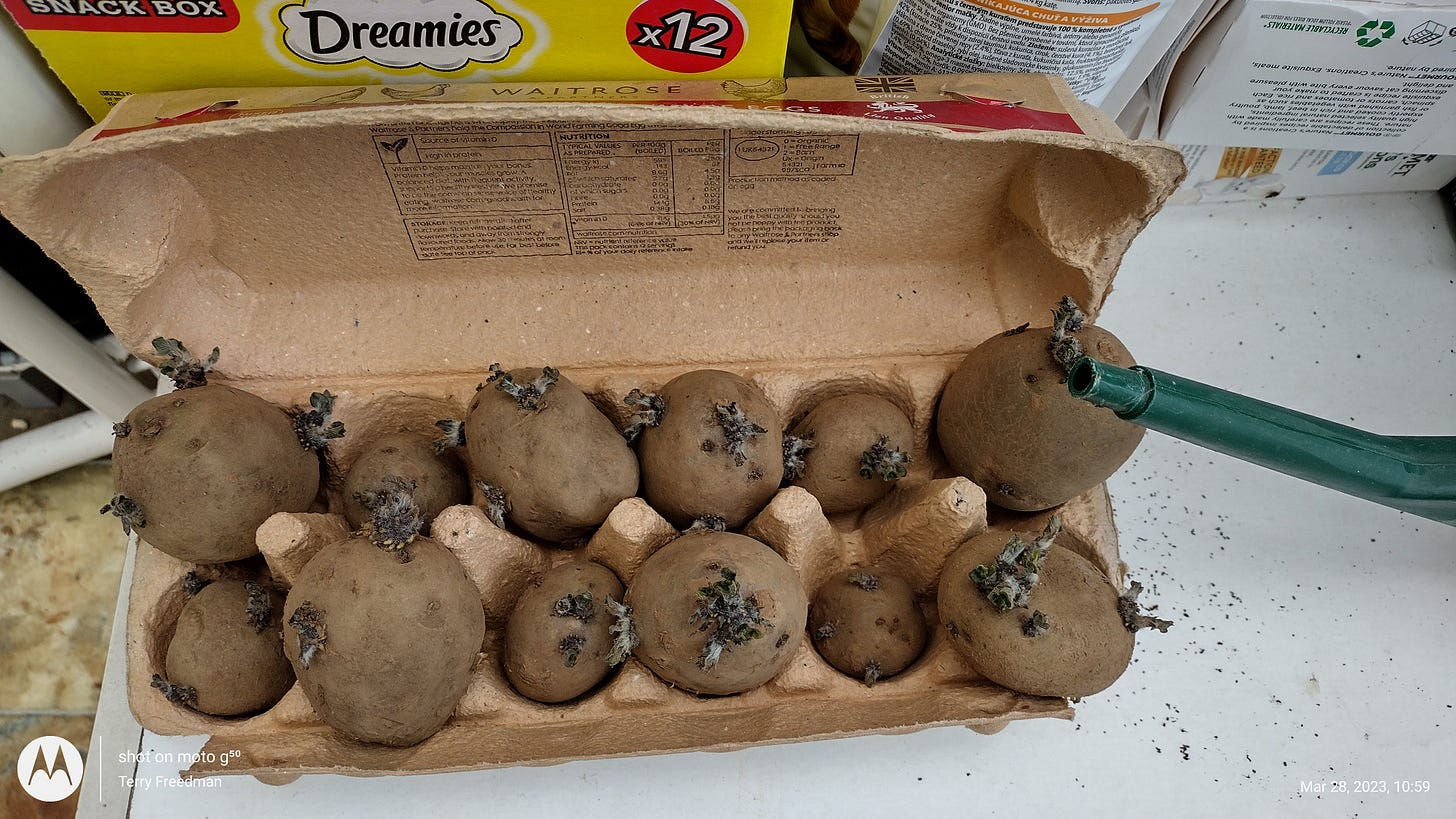 Potatoes, by Terry Freedman