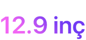 12.9 inç