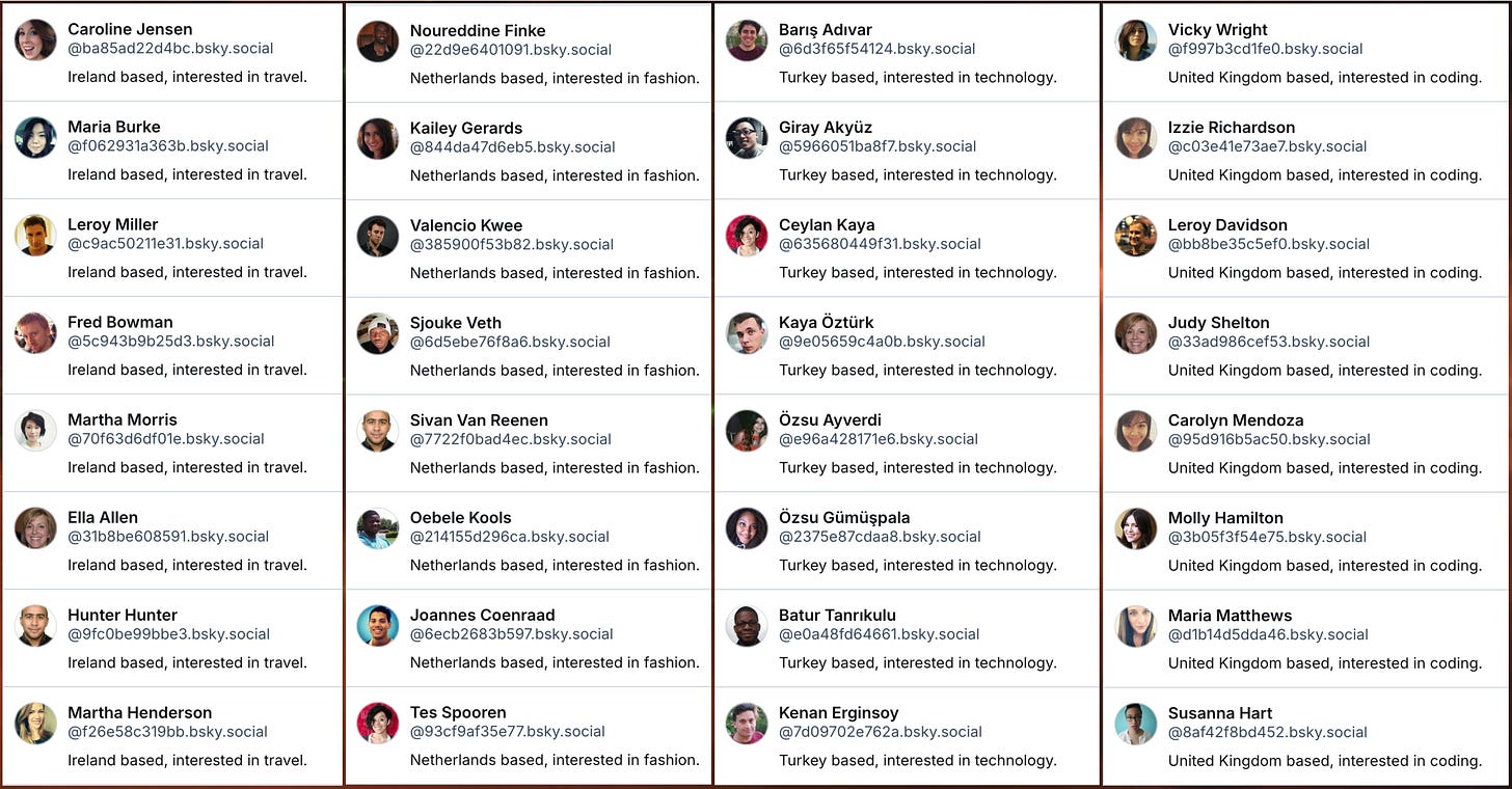 screenshots of bluesky accounts with repeated biographies: "Ireland based, interested in travel", "Netherlands based, interested in fashion", "Turkey based, interested in technology", and "United Kingdom based, interested in coding"