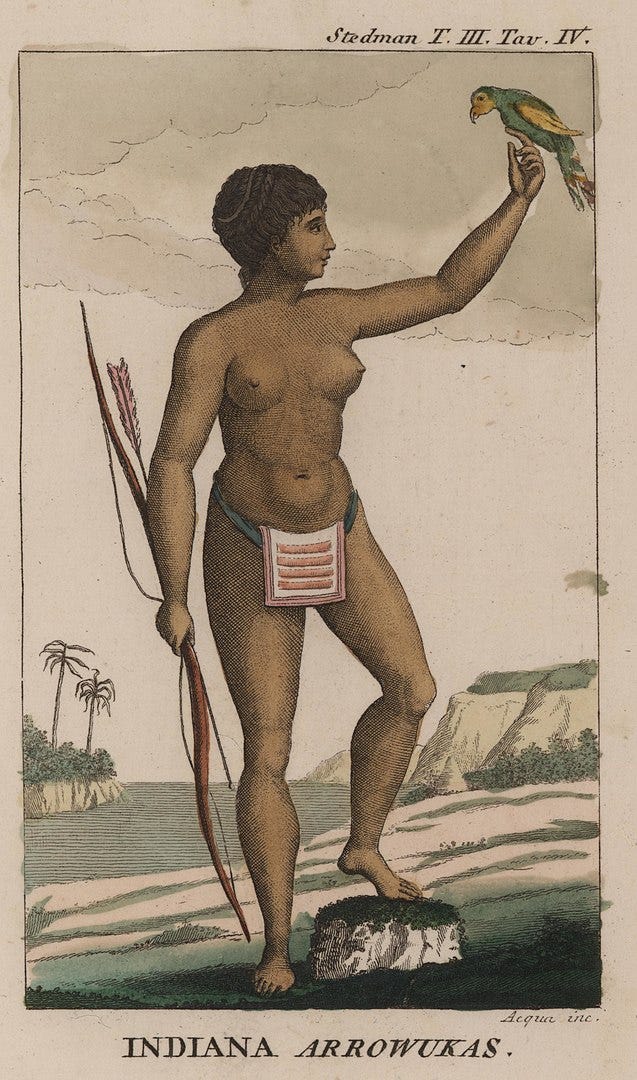 painting of Arawak woman by By John Gabriel Stedman - Geheugen van Nederland