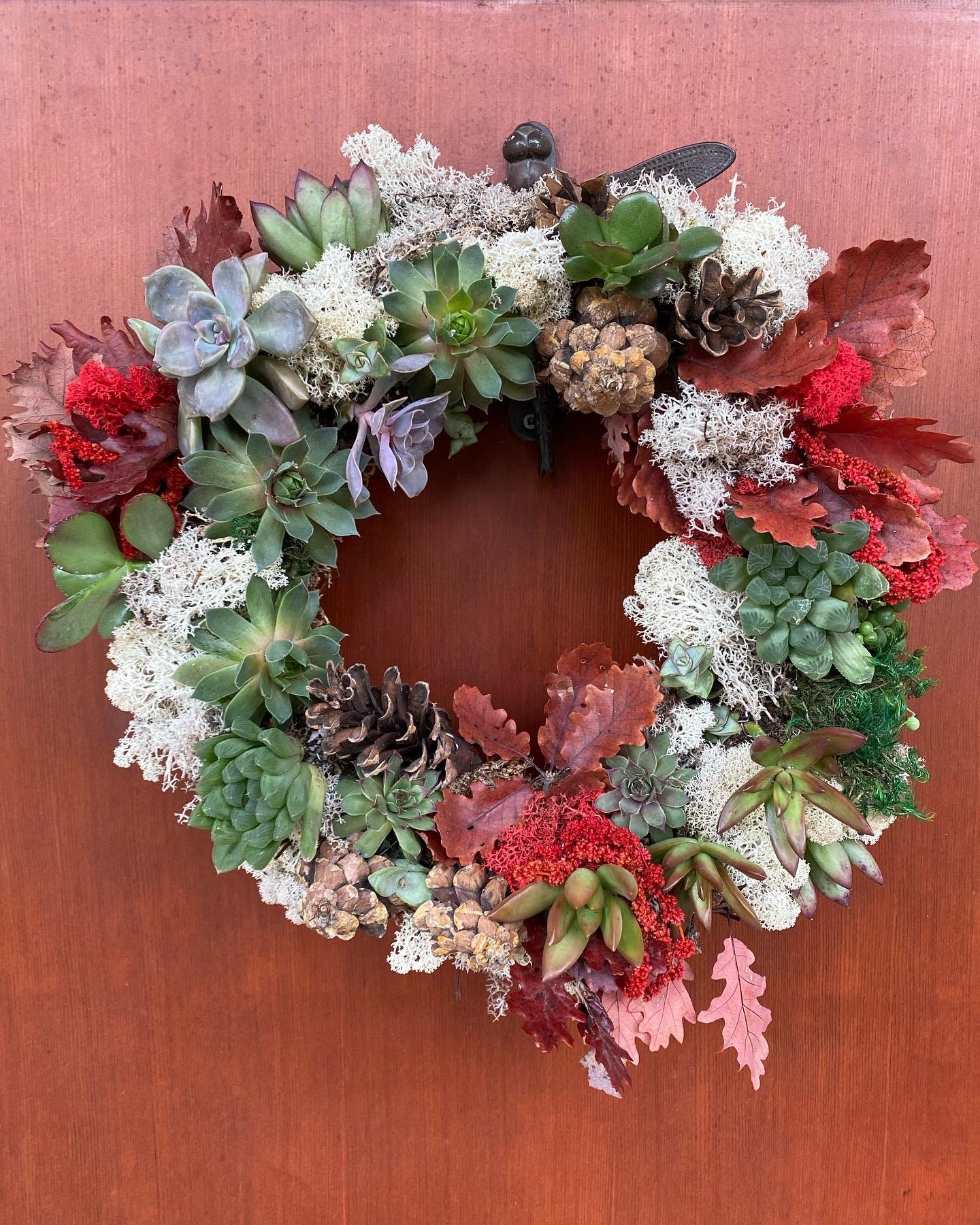 A holiday wreath made with succulents