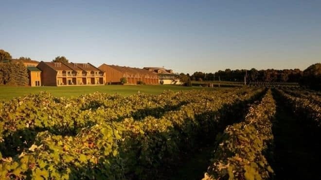 Glenora Wine Cellars, the first winery on Seneca Lake, is up for sale for $10.8 million