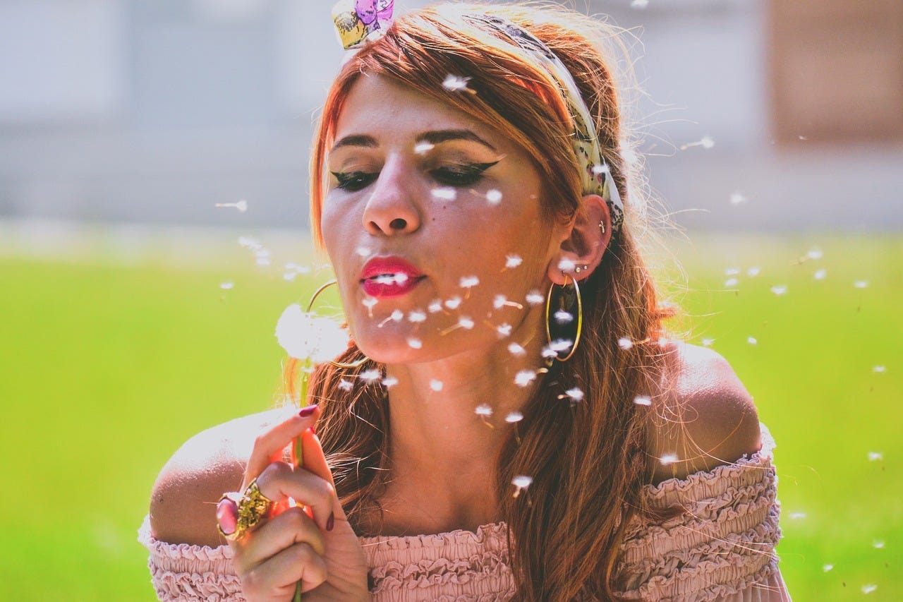 Blowing, Dandelion, Beautiful image. Free for use.