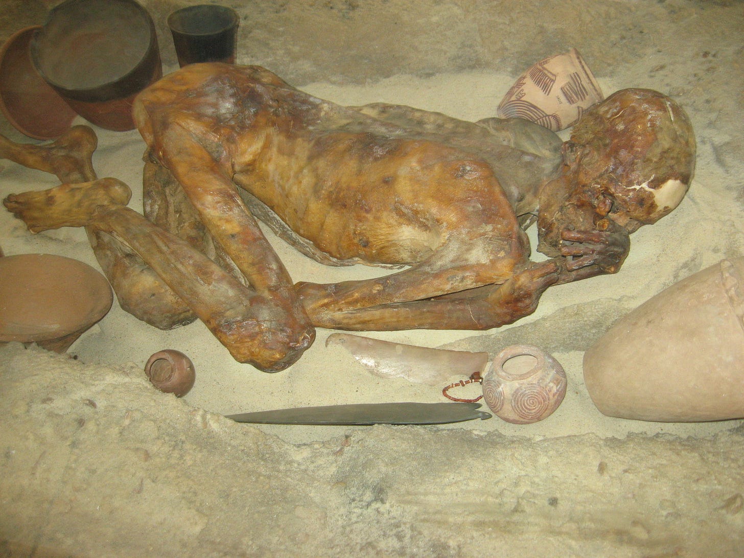 Room 64 – Egyptian grave containing a Gebelein predynastic mummy, late predynastic, 3400 BC