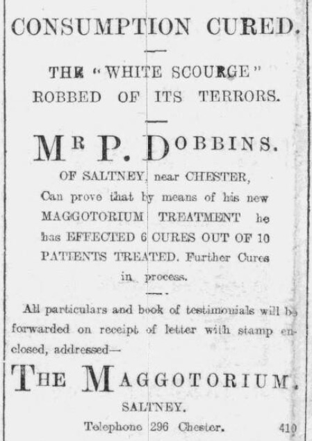 A newspaper advertisement promoting Mr P Dobbins' Maggotorium at Saltney, Chester. It has the headline 'Consumption Cured. The "White Scourge" robbed of its terrors.'