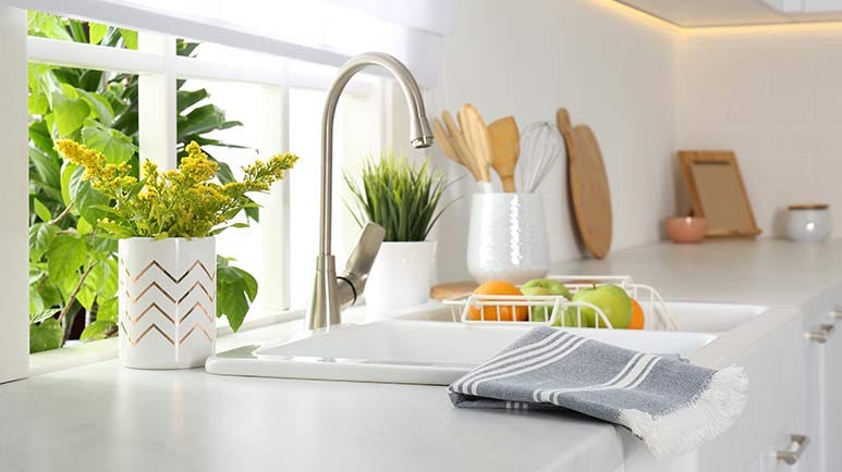 kitchen towels sources disease causing pathogens