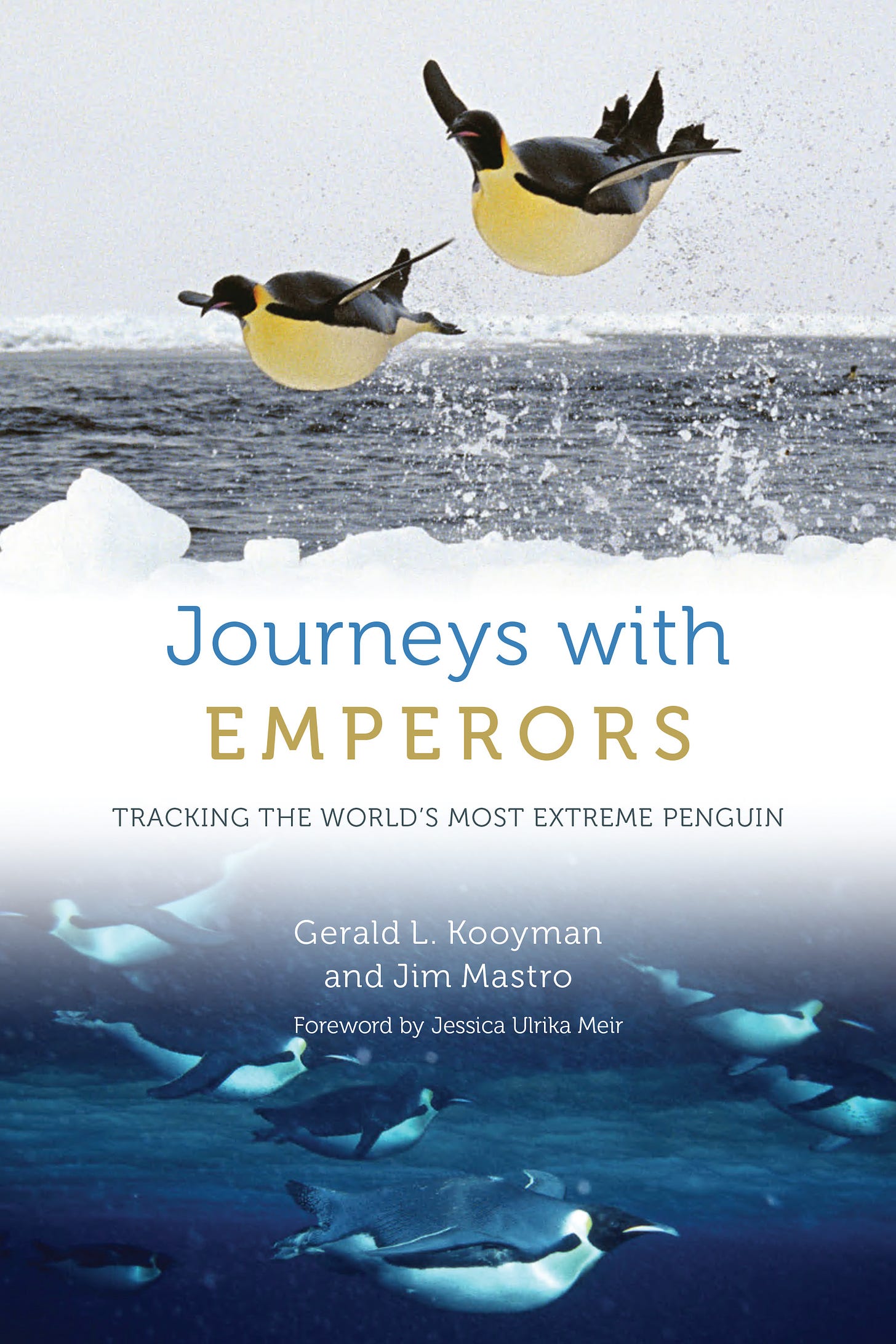 cover of this book shows emperor penguins diving below and flying above the water