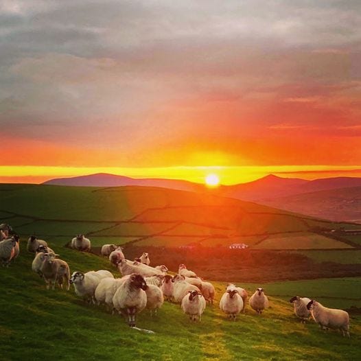 Goodbye to Ireland