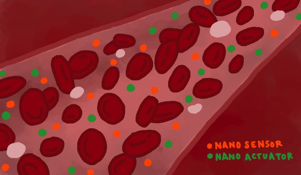 This image has an empty alt attribute; its file name is Blood-cells_2-1024x596.jpg