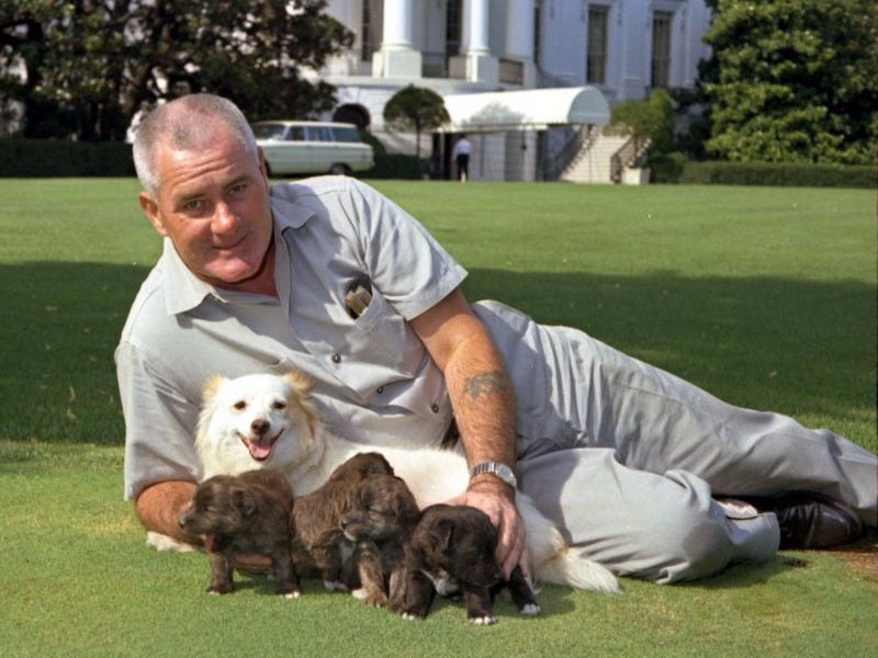pushinka dog puppies white house
