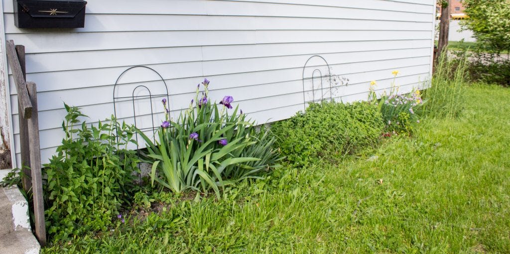 urban garden