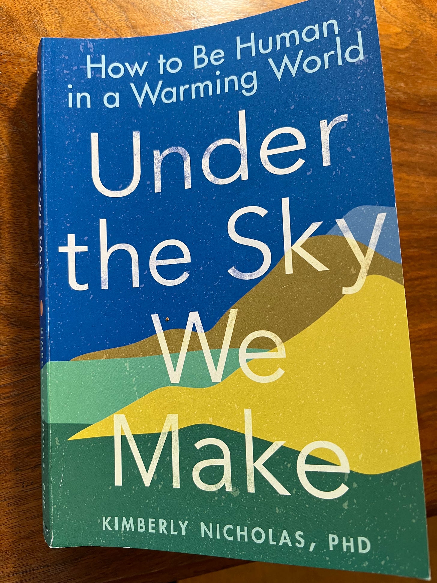 Under the Sky We Make book cover