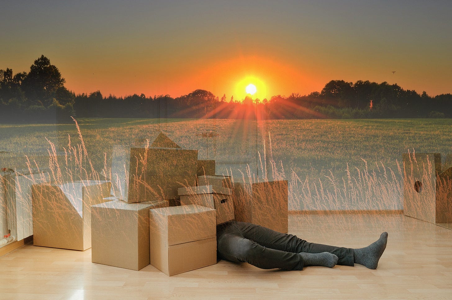 A golden sunset shines over a person lying on the ground, half buried in cardboard boxes.
