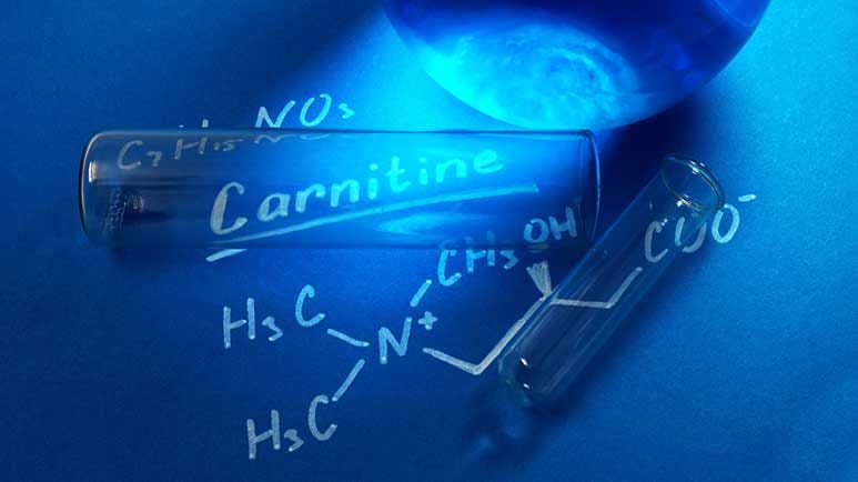 what do l carnitine supplements really do