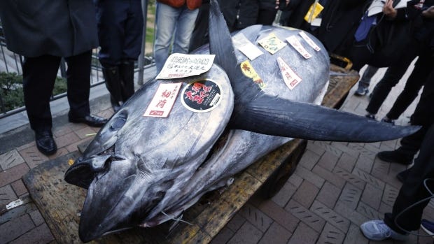 The most expensive tuna sold at this year's first auction. Photographer: Kiyoshi Ota/Bloomberg