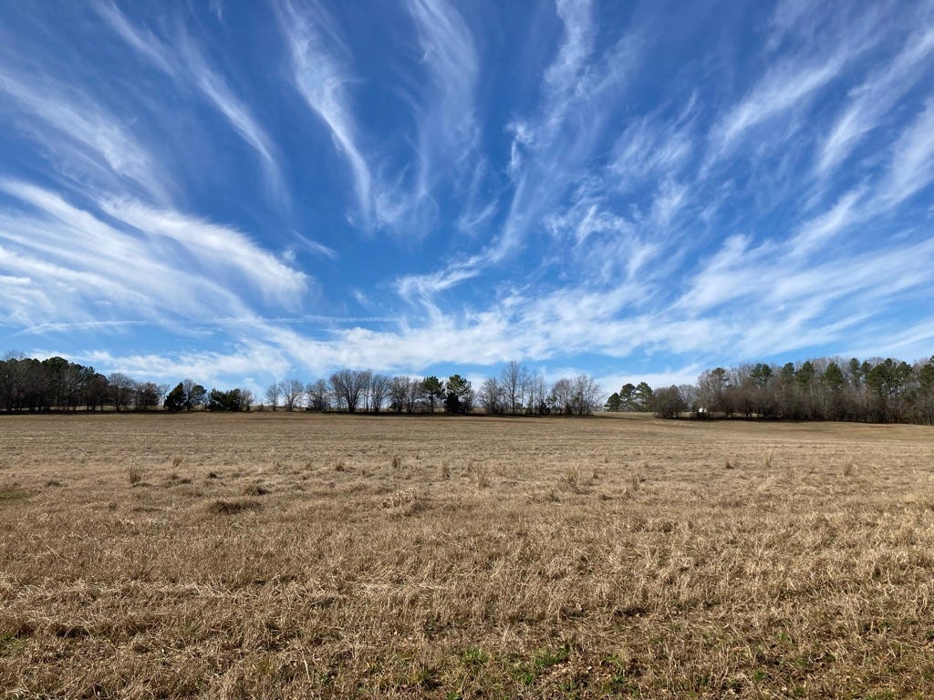 dramatic cirrus clouds in a broad blue sky above a line of bare trees and browned field