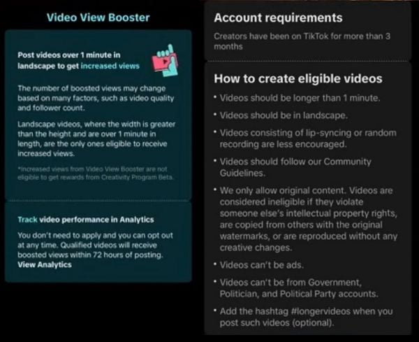 TikTok Video View Booster