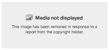 X's copyright policy | X Help X's copyright policy | X Help