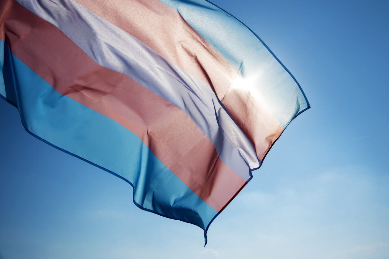 A pink, white and blue flag which is used by the trans community on a sky background